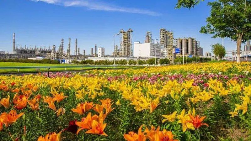 工程塑料合金材料：性能与选择的考量**